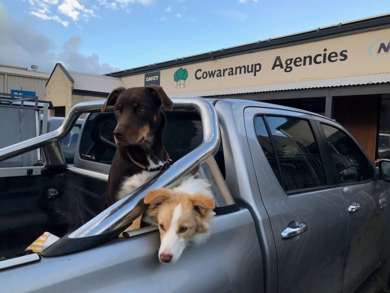 Cowaramup Agencies sells agricultural supplies and everything you needs for your farm or lifestyle property.